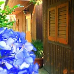 Kamp alanı Fiori D'arancio Piano di Sorrento