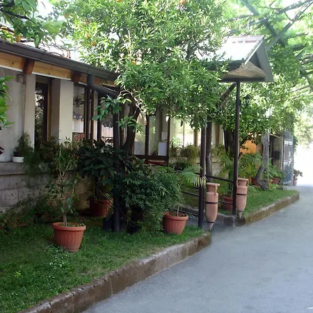 Fiori D'arancio