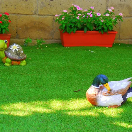 Campeggio Fiori D'arancio Piano di Sorrento