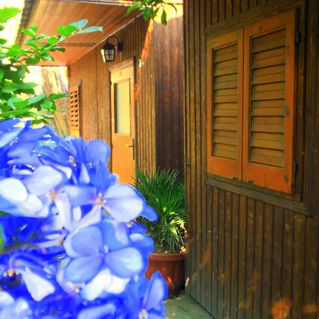 مكان تخييم Fiori D'arancio بيانو دي سورينتو